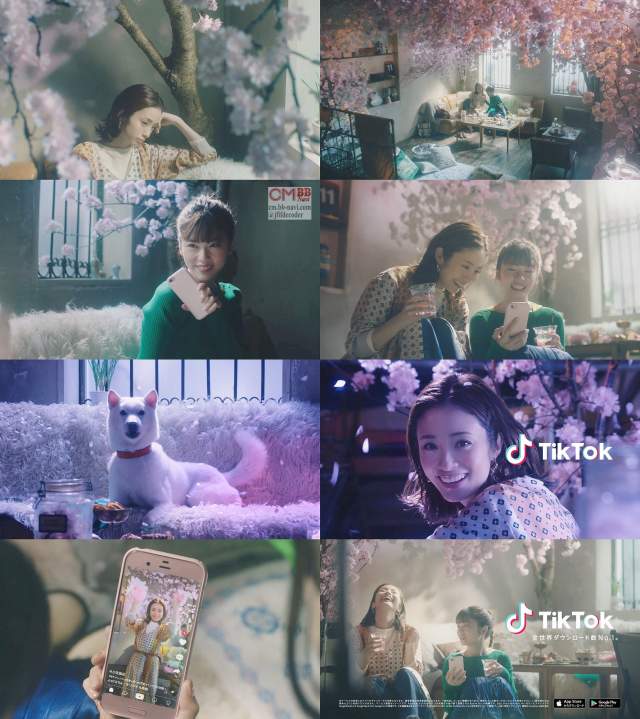 小芝風花 上戸彩 ティックトック Tiktok Cm お花見篇 もうダメだー ティックトック撮りましょ 小芝風花 Cm Navi