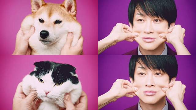 関ジャニ∞ - 犬を飼うということ 横山裕(関ジャニ∞),犬,猫 森永 ハイチュウプレミアム CM