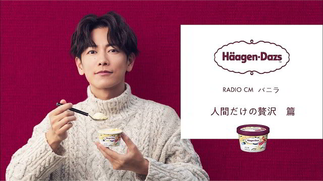 佐藤健 ハーゲンダッツ ミニクリアファイル かくし タレント
