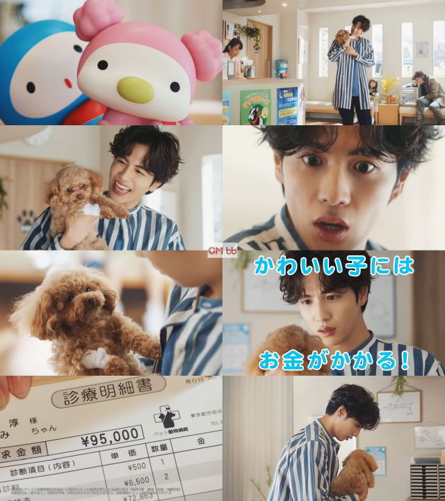 志尊淳 明治安田生命 Cm ライト えがおのペット いぬ 篇 お会計円です 志尊淳 Cm Navi