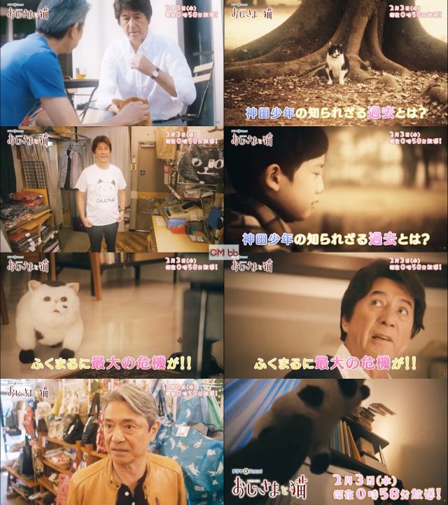 TVドラマ おじさまと猫 第5話(02/03)番宣 CM 30秒版 草刈正雄