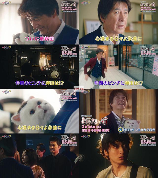 TVドラマ おじさまと猫 最終回第12話(03/24)番宣 CM 30秒版 草刈