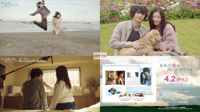 映画 きみの瞳が問いかけている BD＆DVD Web CM 2分42秒 吉高由里子,横浜流星,やべきょうすけ,野間口徹,奥…/吉高由里子 CM  bb-navi