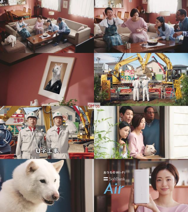 杉咲花 上戸彩 樋口可南子 ダンテ カーヴァー U字工事 犬 ソフトバンクエアー Softbank Air Cm 白戸家 杉咲花 Cm Navi