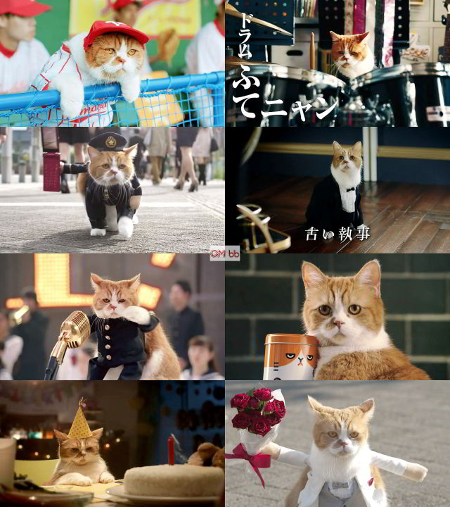 ふてニャン 猫 春馬くん ワイモバイル Cm ありがとう 春馬くん 篇 1分版 ありがとう 春馬くん Cm曲 天才バカボン 猫 Cm Navi