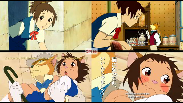 猫の恩返し 35mmフィルム 連続５コマ 池脇千鶴 袴田吉彦 山田孝之 前田亜季 猫の恩返し 35mmフィルム 連続5コマ 池脇千鶴 袴田吉彦 山田孝之 前田